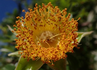 PB111098a.jpg